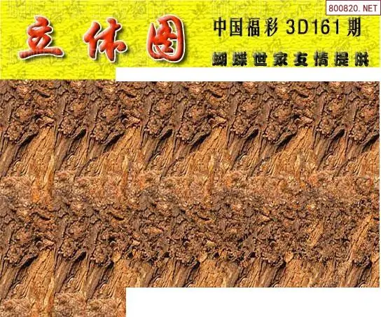 25161期: 3D蝴蝶世家蝴蝶彩图