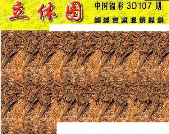 25107期: 3D蝴蝶世家蝴蝶彩图