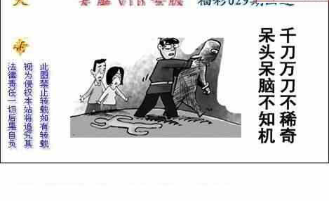 25029期: 白老3D杀码图版