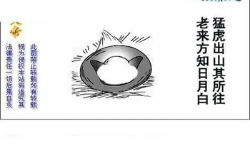 26086期: 白老3D杀码图版