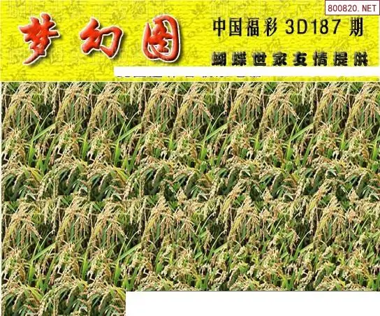 25187期: 3D蝴蝶世家蝴蝶彩图