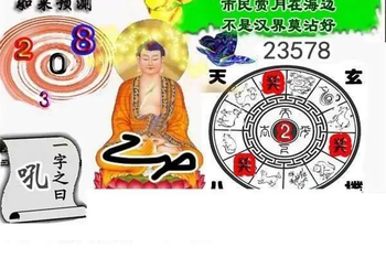 26017期: 白老3D杀码图版