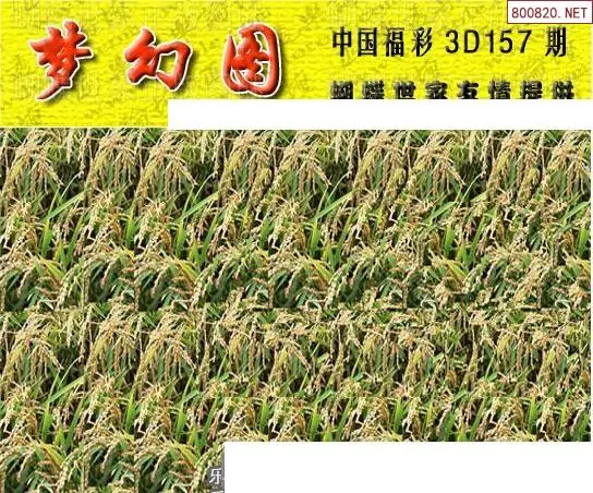 25157期: 3D蝴蝶世家蝴蝶彩图