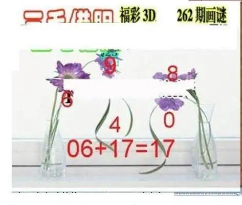 25262期: 三毛3D精品图谜