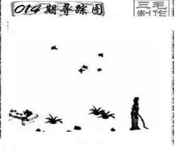 26014期: 三毛3D精品图谜