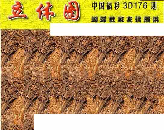 24176期: 3D蝴蝶世家蝴蝶彩图