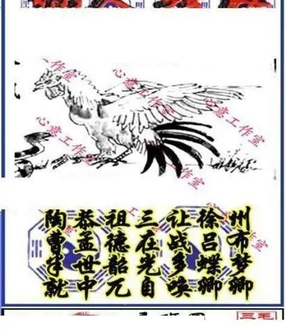 25337期: 三毛3D精品图谜