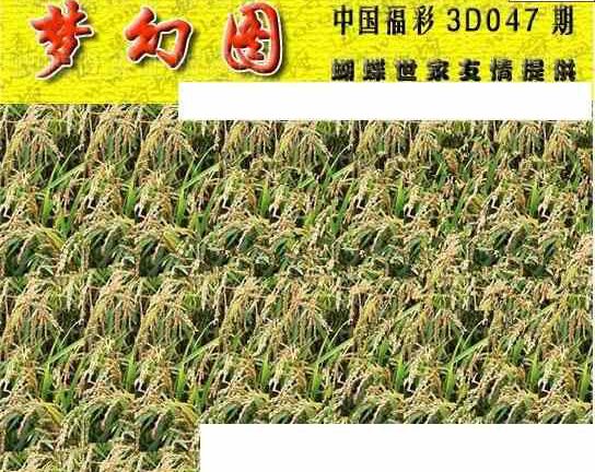 25047期: 3D蝴蝶世家蝴蝶彩图