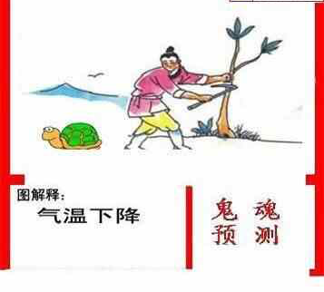 24158期: 白老3D杀码图版