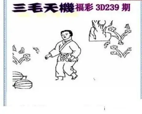 25239期: 三毛3D精品图谜