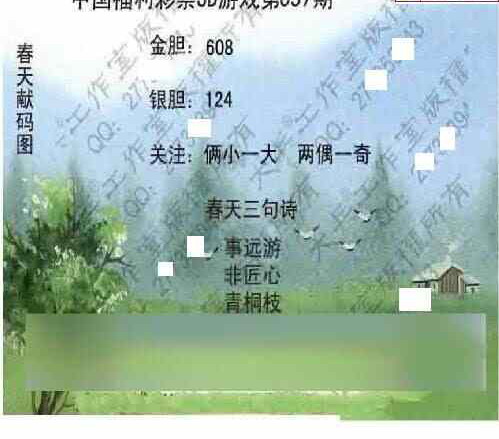 25037期: 大兵福彩3D黄金报图版