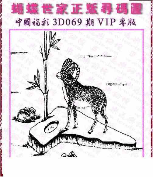 24069期: 3D蝴蝶世家蝴蝶彩图