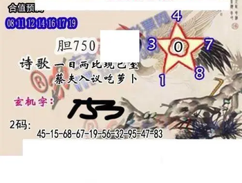 26104期: 白老3D杀码图版