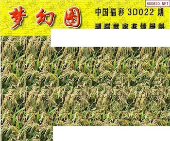 26022期: 3D蝴蝶世家蝴蝶彩图