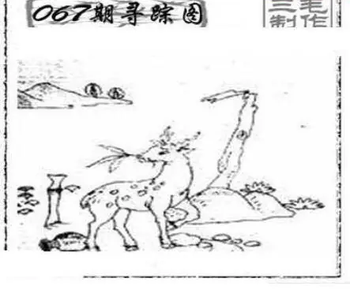 26067期: 三毛3D精品图谜