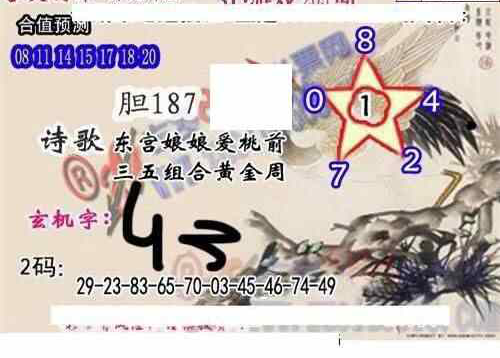 24205期: 白老3D杀码图版