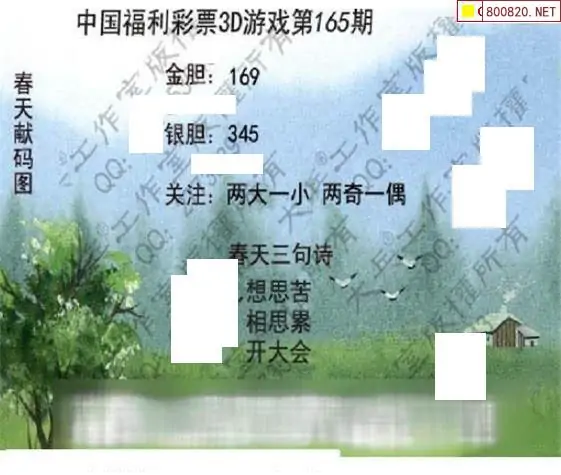 25165期: 大兵福彩3D黄金报图版