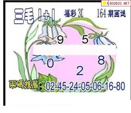 25164期: 三毛3D精品图谜