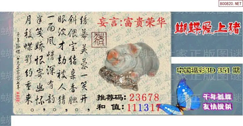 25351期: 3D蝴蝶世家蝴蝶彩图