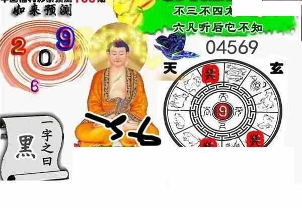 24133期: 白老3D杀码图版