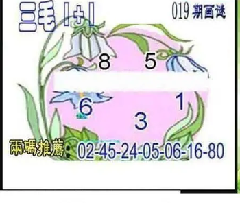 26019期: 三毛3D精品图谜