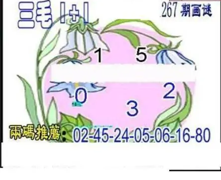 25267期: 三毛3D精品图谜