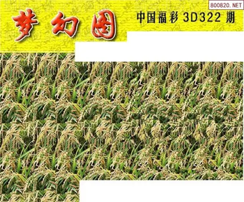 25322期: 3D蝴蝶世家蝴蝶彩图