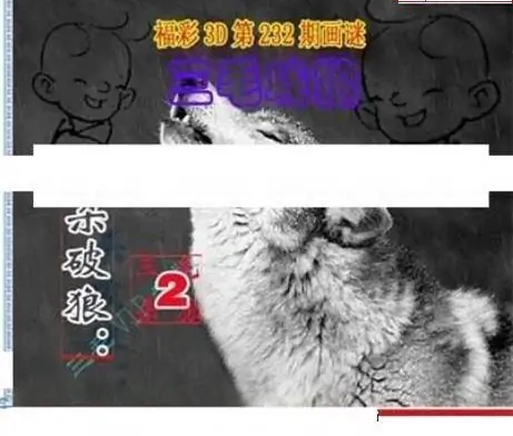 25232期: 三毛3D精品图谜