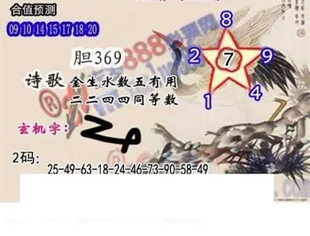 26015期: 白老3D杀码图版