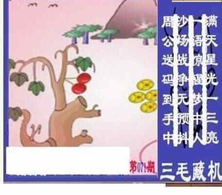 24071期: 三毛3D精品图谜
