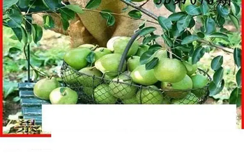 26076期: 白老3D杀码图版