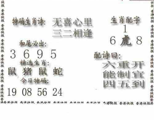 24101期: 白老3D杀码图版