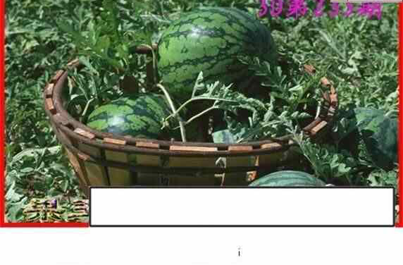 24233期: 白老3D杀码图版