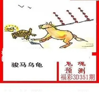 25351期: 白老3D杀码图版