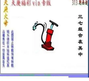 25313期: 三毛3D精品图谜