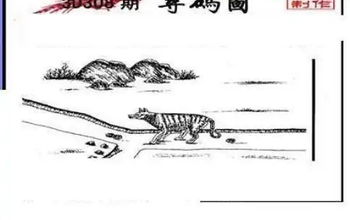 25308期: 三毛3D精品图谜