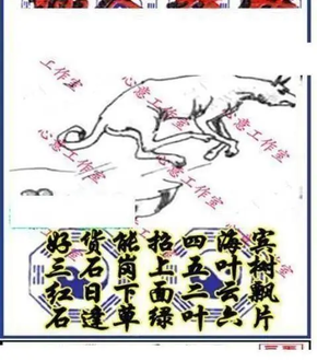 26019期: 三毛3D精品图谜