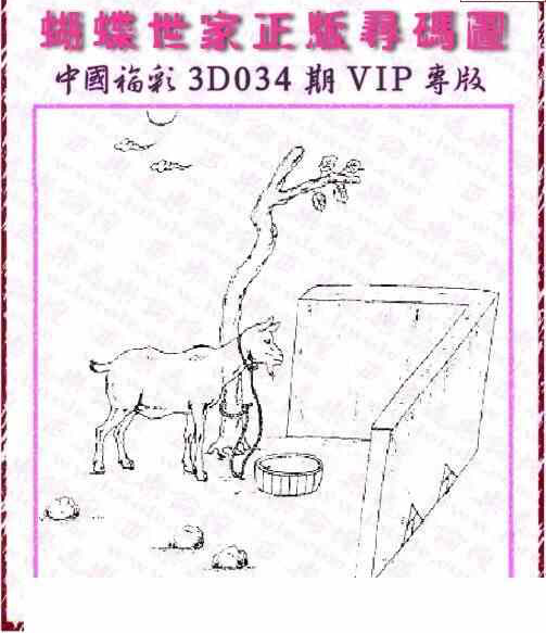 25034期: 3D蝴蝶世家蝴蝶彩图