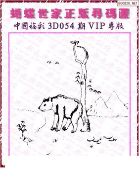 26054期: 3D蝴蝶世家蝴蝶彩图