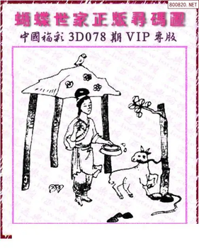 26078期: 3D蝴蝶世家蝴蝶彩图