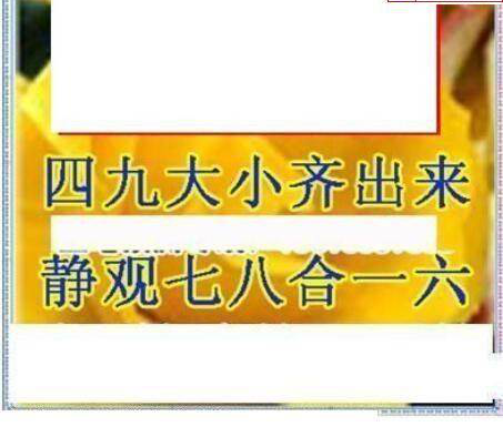 24343期: 三毛3D精品图谜