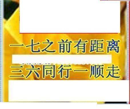 25014期: 三毛3D精品图谜