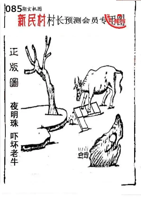 25085期: 老村长福彩3D天天图谜