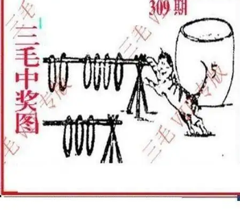 25309期: 三毛3D精品图谜