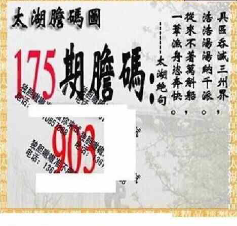 24175期: 太湖图福彩3D精品预测
