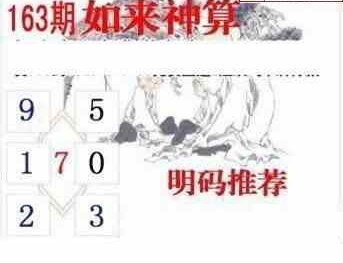 24163期: 白老3D杀码图版