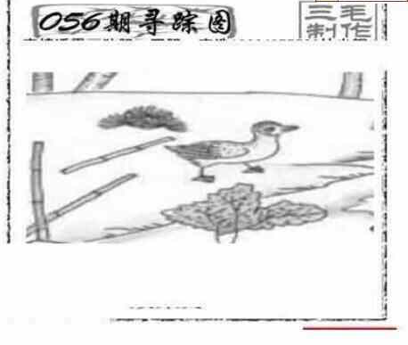 25056期: 三毛3D精品图谜