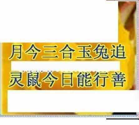 24069期: 三毛3D精品图谜