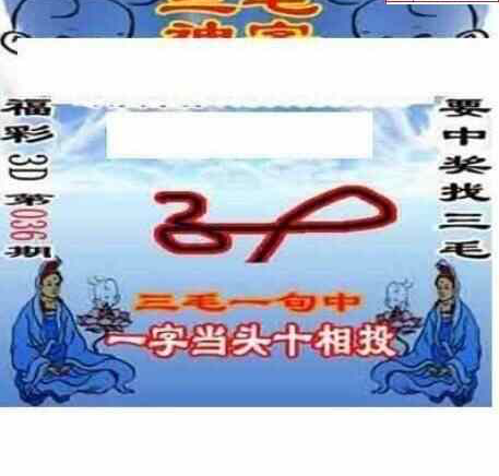 25036期: 三毛3D精品图谜