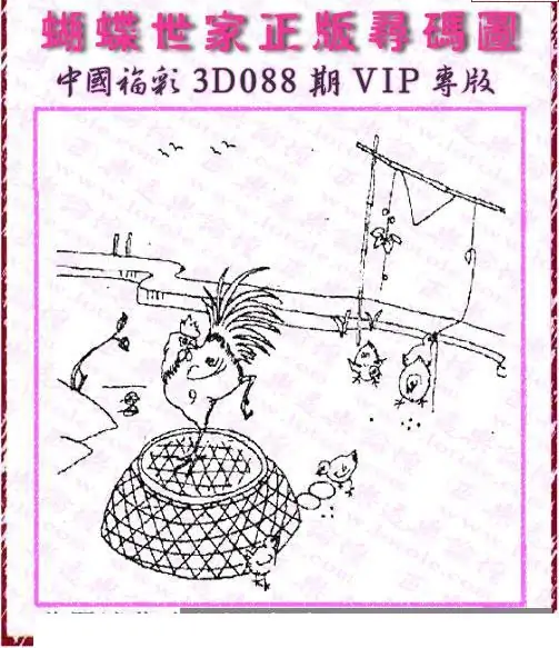 25088期: 3D蝴蝶世家蝴蝶彩图